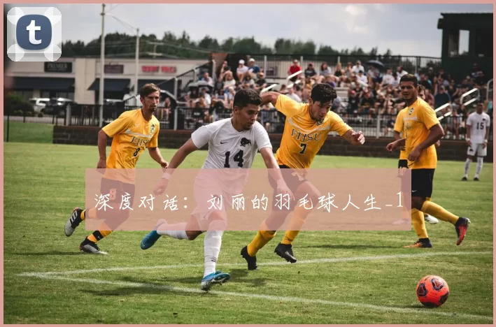 深度对话：刘丽的羽毛球人生_1