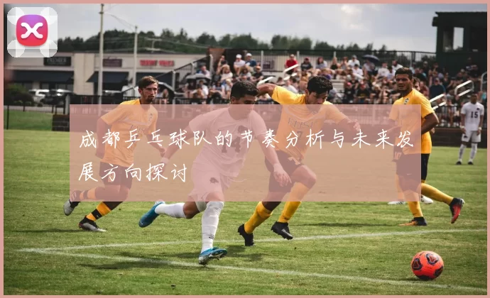 成都乒乓球队的节奏分析与未来发展方向探讨