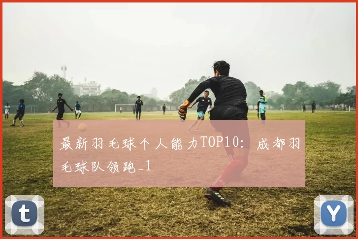 最新羽毛球个人能力TOP10：成都羽毛球队领跑_1
